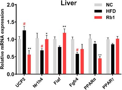 Ginsenoside Rb1 ameliorates Glycemic Disorder in Mice With High Fat Diet-Induced Obesity via Regulating Gut Microbiota and Amino Acid Metabolism